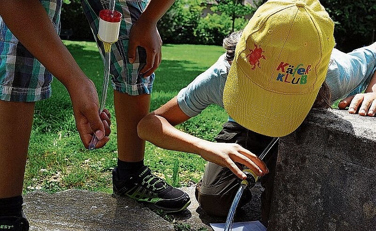 Forschend, entdeckend und gestaltend gewinnen die Primarschulkinder interessante Einblicke. (Bild: ZVG)