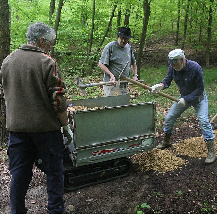 Während fast vier Stunden wurde ein 330 Meter langes Stück des Wanderwegs im Bereich Iischlag/Chliholz in Olten saniert. (Bild: ZVG)