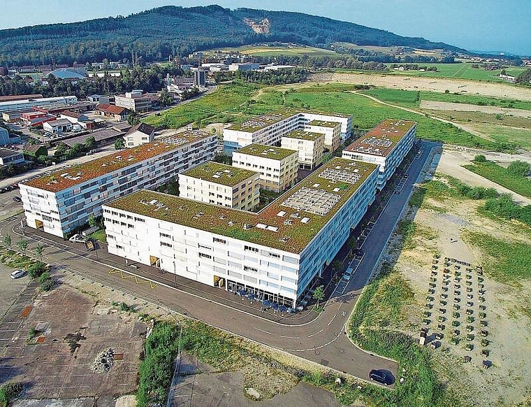 Im Quartier Olten SüdWest wird vorläufig nicht weitergebaut. (Bild: Archiv Bruno Kissling)