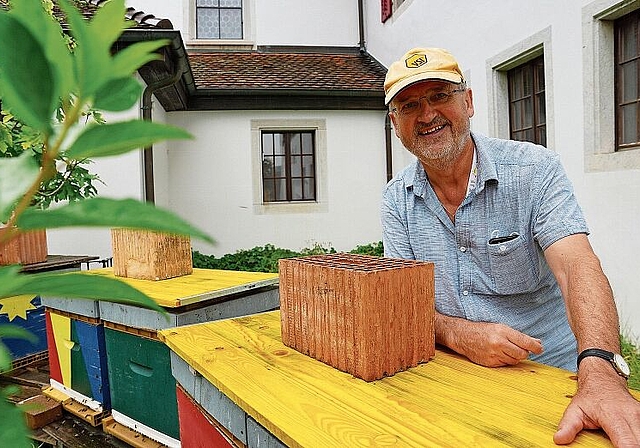 Albert Blum-Kolb lebt seine Leidenschaft fürs Imkern seit kurzem im Oltner Klostergarten aus. (Bilder: Achim Günter)
