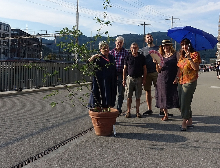Die Grünen Region Olten besuchten kürzlich eine Reihe städtischer Hitzeinseln (v.l.): Beate Hasspacher, Felix Wettstein, Candidus Waldispühl,