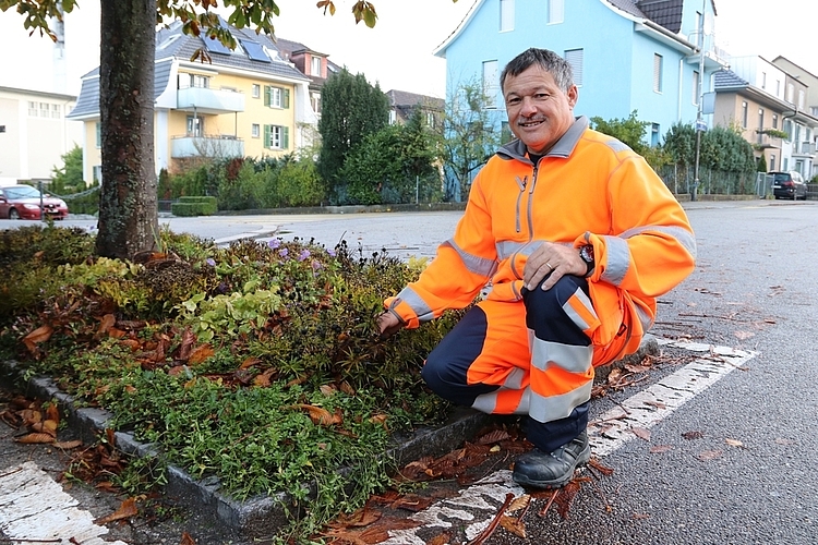 «Einem Rollrasen gleich wurde die Bepflanzung auf der Fläche ausgelegt. Sie beinhaltet für jede Jahreszeit blühende Elemente», erklärt Walter Egger, Bereichsleiter der Oltner Stadtgärtnerei. (Bild: mim)
