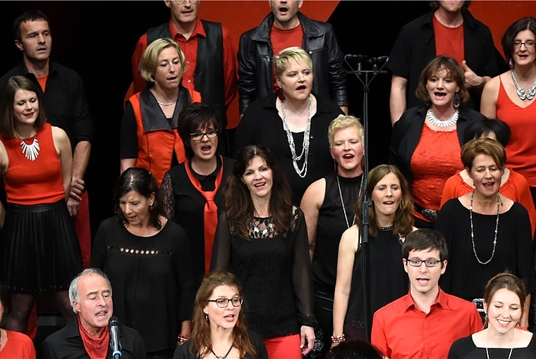 Der A-cappella-Chor «Mixed-up» lädt am Donnerstag, 30. November zum weihnachtlichen Konzert in die Oltner Klosterkirche ein. (Bild: ZVG)