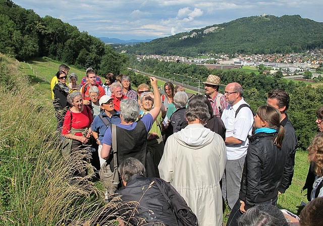 Naturnetz Olten organisiert jährlich Exkursionen, um den Menschen die unmittelbaren Lebensräume in Gehdistanz näherzubringen. (Bild: ZVG)
