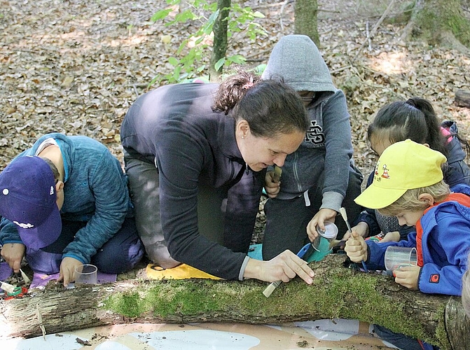 Was krabbelt denn da? Auf der Baumrinde liessen sich Käfer, Spinnen und sogar ein Tausendfüssler entdecken. (Bild: S. Furter)
