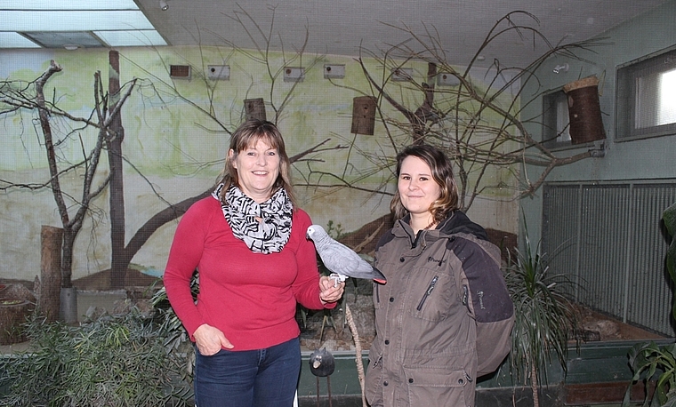 Astrid von Wartburg mit ihrem Lieblingsvogel dem Graupapagei und Sandra Schmidt, die für sie als Ferienablösung fungiert. (Bild: ZVG)