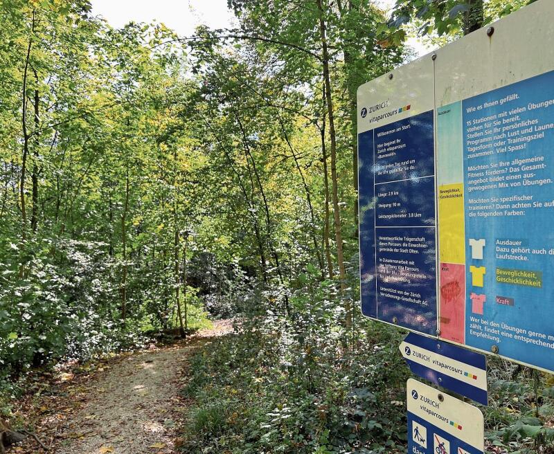 Die in der ganzen Schweiz bekannten Vitaparcours-Beschilderungen gehören auch in Olten zum Waldbild. (Bild: Caspar Reimer)
