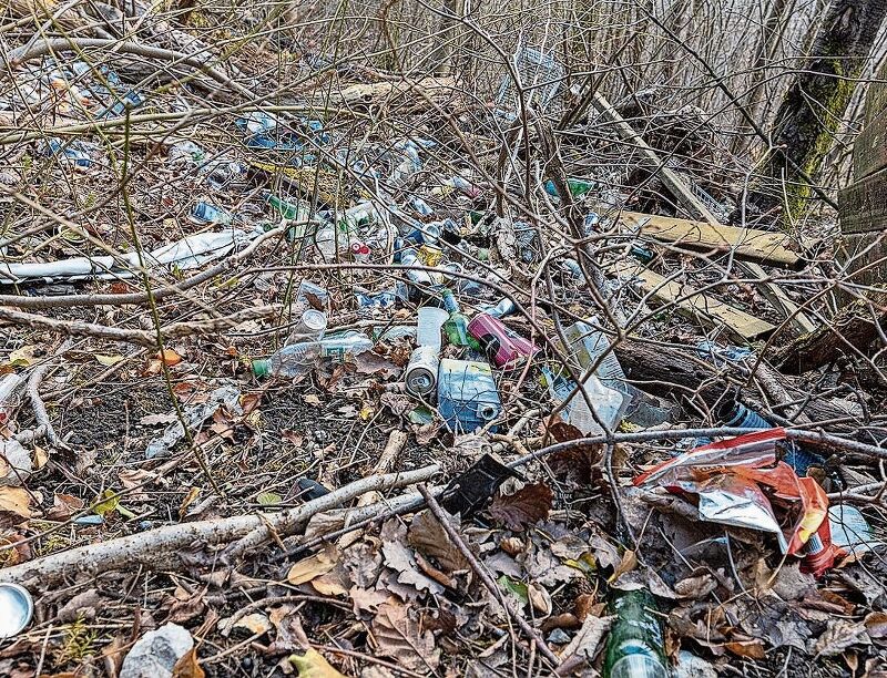 Littering der übelsten Sorte: Dieser Anblick bot sich diesen Frühling im Hardwald.
