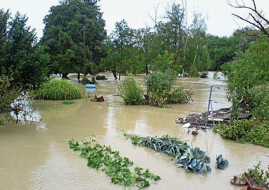 Die Aare hatte ihr Bett verlassen und zog ihre zerstörerischen Bahnen durch Gärten und Gemüsebeete. (Bild: ZVG)
Die Situation am frühen Abend des 8. August 2007. Danach stieg das Wasser noch um fast einen Meter. (Bild: ZVG)
Markus Graber steht im Sommer 2022 trockenen Fusses und durch den Damm im Hintergrund bestens geschützt auf seinem Gartensitzplatz. (Bild: Achim Günter)
Im August 2007 liess sich die selbe Stelle wie oben nur vom Haus aus fotografieren. Im Garten hatte die reissende Aare längst das Zepter übernommen. (Bild: ZVG)