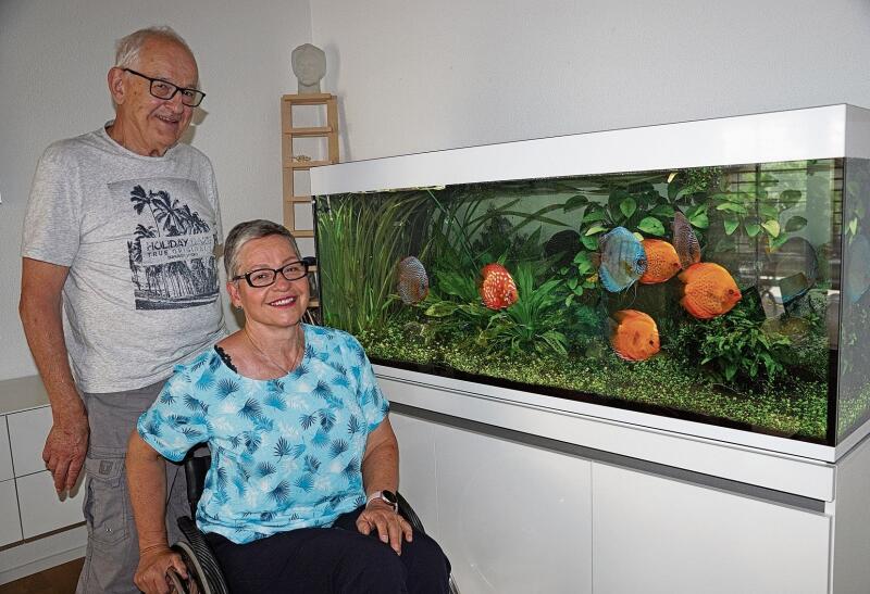 Vereinspräsident Werner Wiget und seine Frau Karin vor ihrem «Amazonas-Aquarium» mit den bunten Diskus-, Neon- und einigen Bodenfischen. (Bild: Achim Günter)
