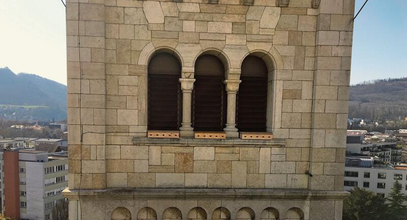 Vorzeigeprojekt: In den Nistkästen im Turm der Martinskirche fühlen sich die Mauersegler sehr wohl. (Bild: Markus von Däniken)
