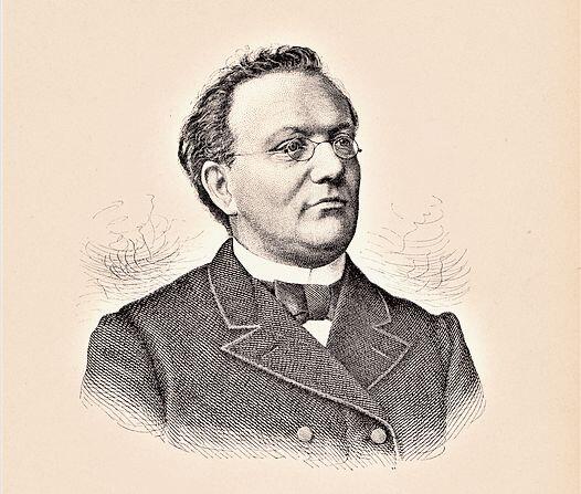Porträt aus dem Jahr 1889 von Josef Jeker, Stadtpfarrer von Olten und Schweizer Bienenvater. (Bild: ZVG/Sammlung Urs Amacher)
