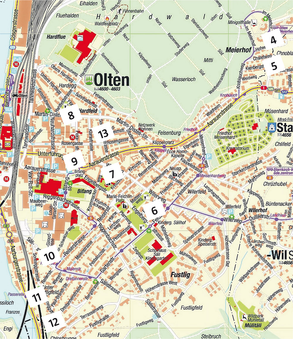 Die Gärten 4 bis 12 präsentieren sich auf der rechten Aareseite von Olten. (Bild: ZVG)