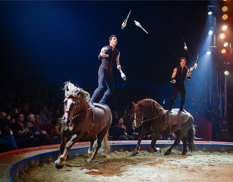Akrobatische und faszinierende Tiernummern im Circus Knie. (Bild: K. Stuppia)
