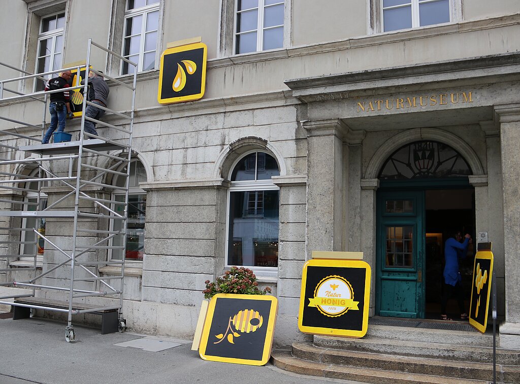 Die Bienenbilder werden durch Museumstechniker Remo Leuenberger (l.) und einem Helfer von der Hausfassade des Naturmuseums Olten entfernt. (Bild: mim) 
